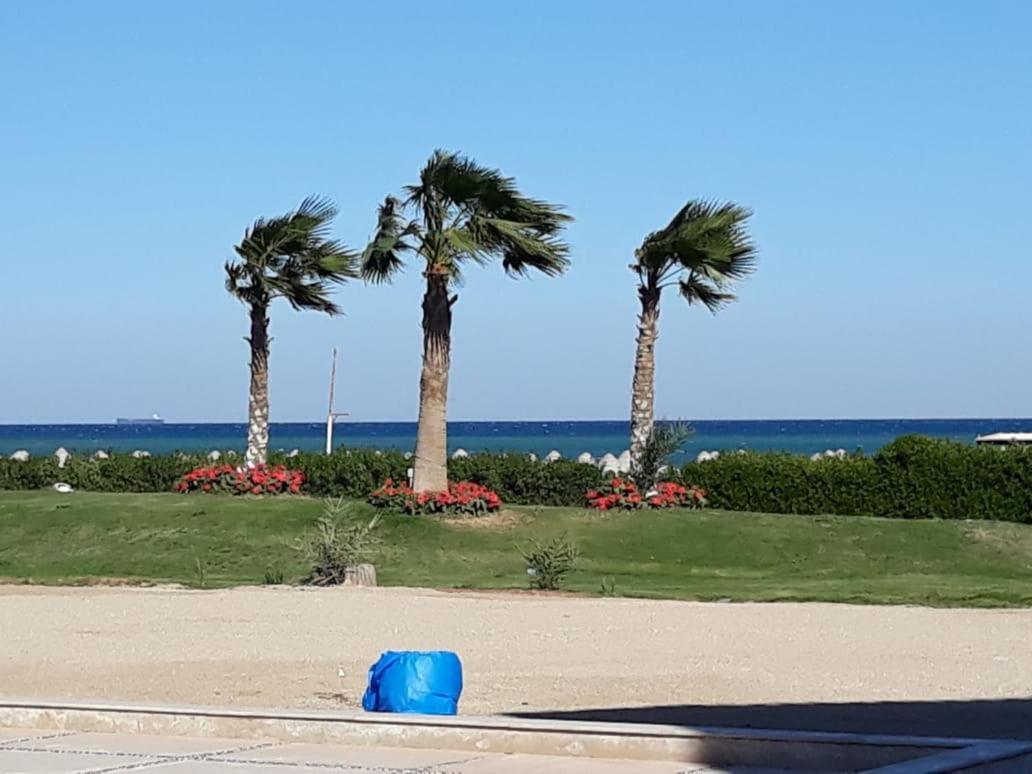 Seaview Chalets In Porto South Beach - Families Only Ajn Suchna Zewnętrze zdjęcie